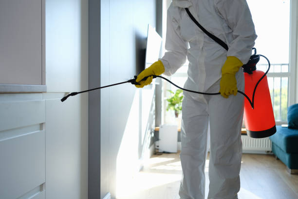 Why You Should Choose Our Mold Remediation Services in Reynoldsburg, OH