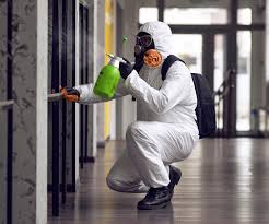 Mold Documentation for Insurance Claims in Reynoldsburg, OH